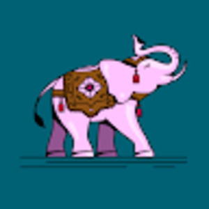 Meet your Posher, Timothy